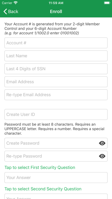 Lake Shore FCU Screenshot