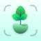 AI Plant Identifier is a must-have for any plant lover who enjoys exploring new flora