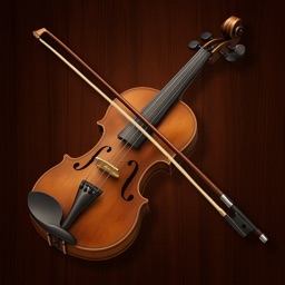 Professional Violin