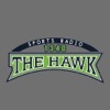 1340 The Hawk icon