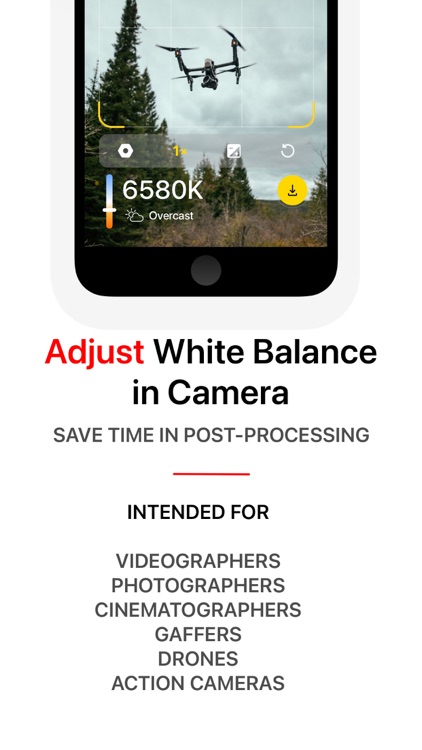 White Balance Meter AI - KEV screenshot-4