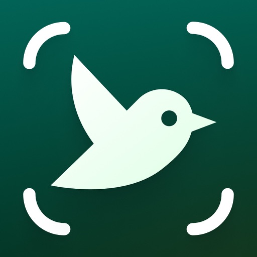 Bird Identifier - Scanner ID