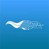 Pocket Steganography