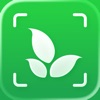 Plant Identifier: Plantiary icon