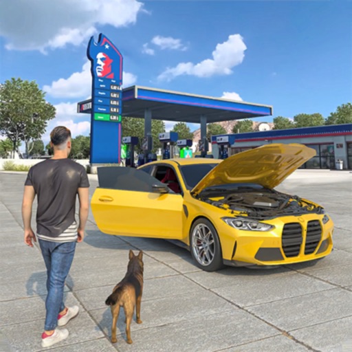 School Car Driving Simulation