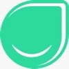 SAFSIMS Parent icon