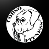 Corso Fitness icon