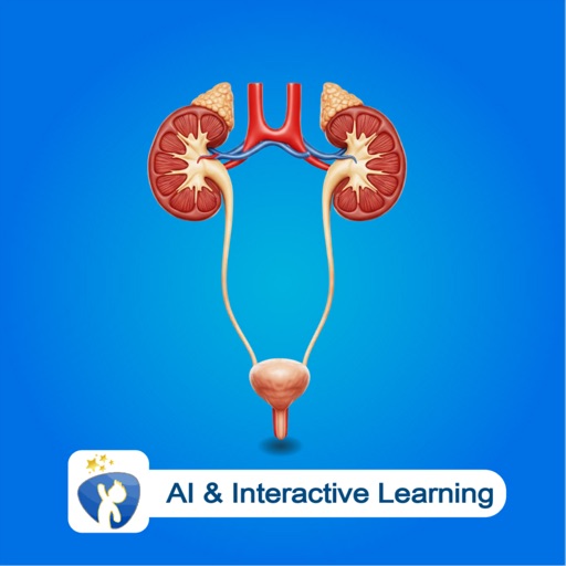 Excretory System - EduTech Era