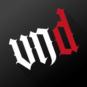 Vibes Never Die Academy