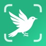 Get BirdScope: Bird Identifier for iOS, iPhone, iPad Aso Report