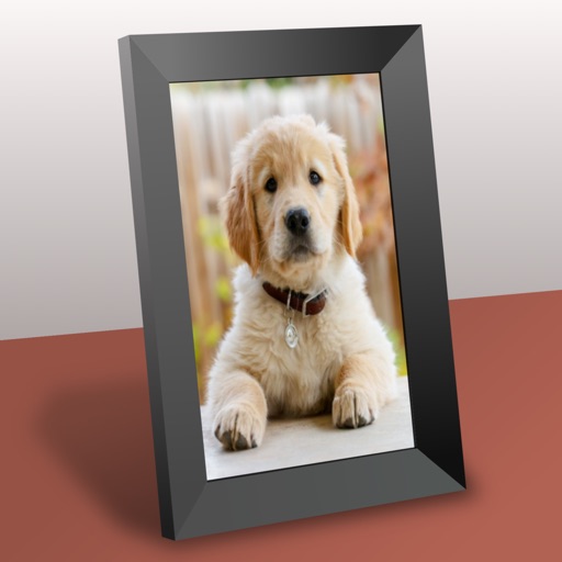 Collage Frame Widget