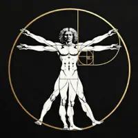 Golden Ratio Fit