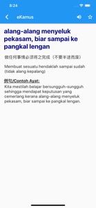 eKamus 马来文字典 Malay Dictionary screenshot #3 for iPhone