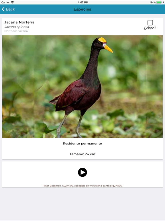Aves de Cozumel iPad screenshot