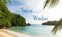 Nature Window app icon