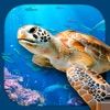 Virtual Reality OCEANS! - iPhoneアプリ