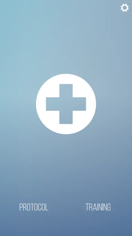 UN Buddy First Aid