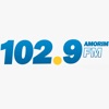 Rádio 102.9 Amorim FM icon