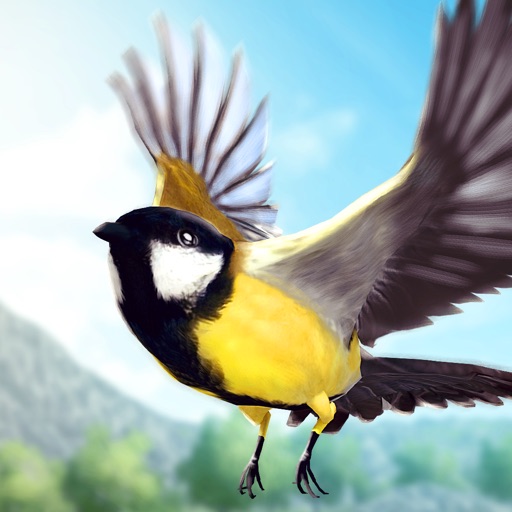 Bird Fly High 3D Simulator iOS App