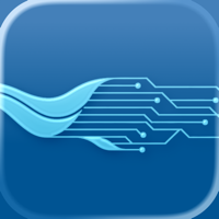 Pocket Steganography