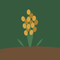 ゆる野菜栽培