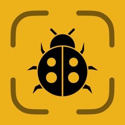 Insect & Bug Identifier: BugID