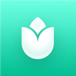 PlantIn・plantes reconnaissance