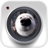 Fish eye camera & Video Square icon