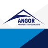ANGOR icon