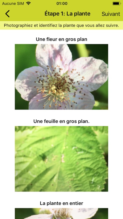 Spipoll screenshot-3