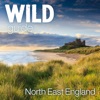 Wild Guide North East England icon