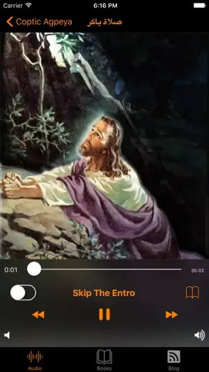 Coptic Agpeya Arabic Audio screenshot 3