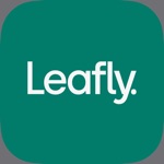 Download Leafly: Find Weed Near You app