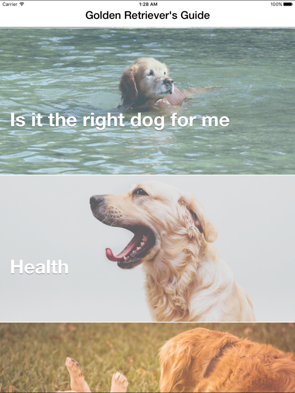 Golden Retriever: Breed Guide iPad screenshot