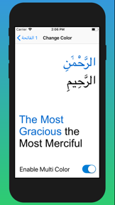 Daily Tasbeeh & Quran Tracker screenshot