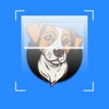 Dog Identification-DogScanner icon