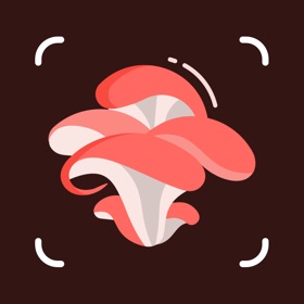 屏幕截图 (3) Identify Mushrooms with AI