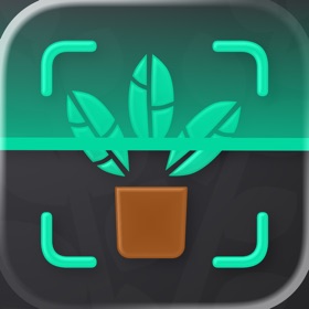 Plant Identifier. Fix Disease