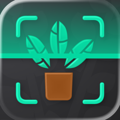 Plant Identifier. Fix Disease