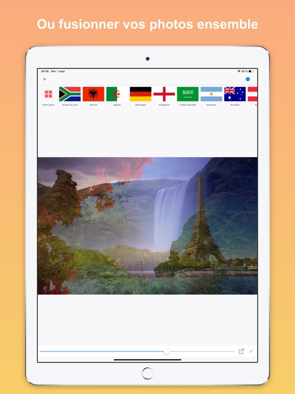 Screenshot #6 pour Country Flag Lite