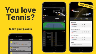 Tennis Fan - ATP / WTA Screenshot