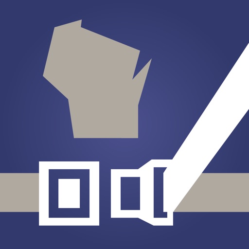 Local Seatbelt Survey