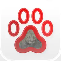 Wildlife Handbook for RDR2