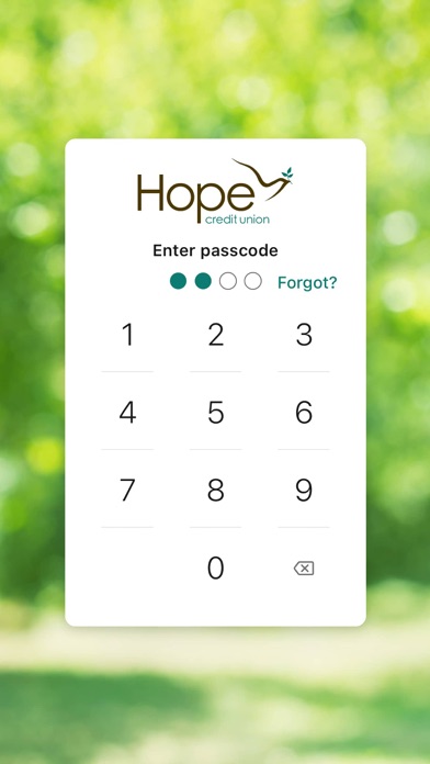 Hope Credit Union Screenshot