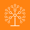 MyFamilyTree: Family History - V.IT SOFTWARE JOINT STOCK COMPANY