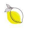 Lemon Camera icon