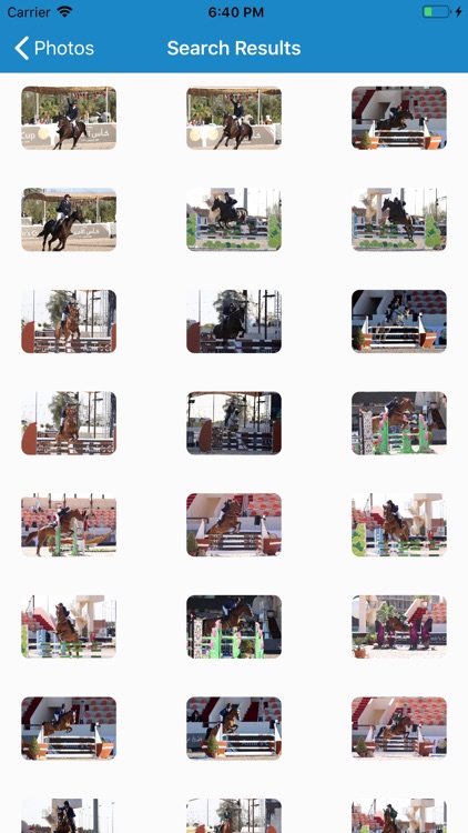 Watch Horse TV screenshot-3