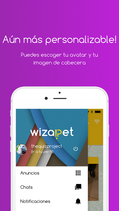 Wizapet screenshot