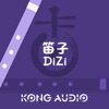 KA mini DiZi - iPadアプリ