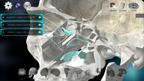3D解剖学アトラス：iRis screenshot